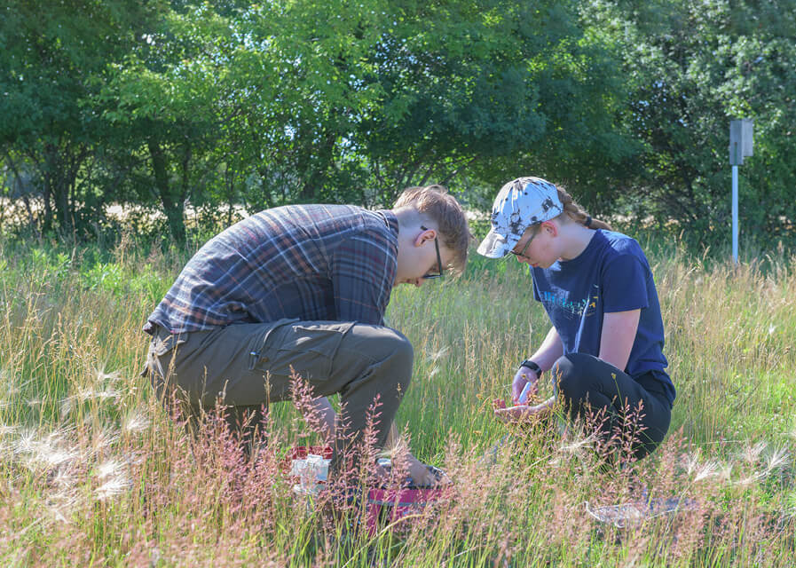 Students research in the field as part of their 