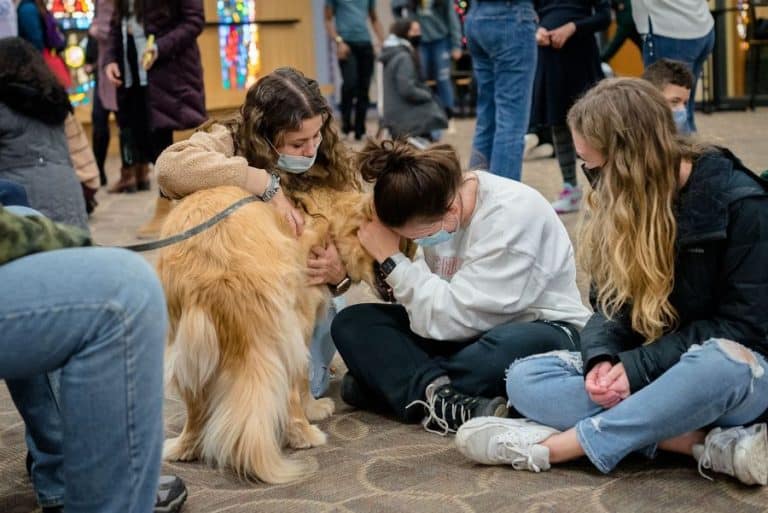 SNC students petting a dog in a campus hallway