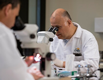 Anindo Choudhury looks into a microscope